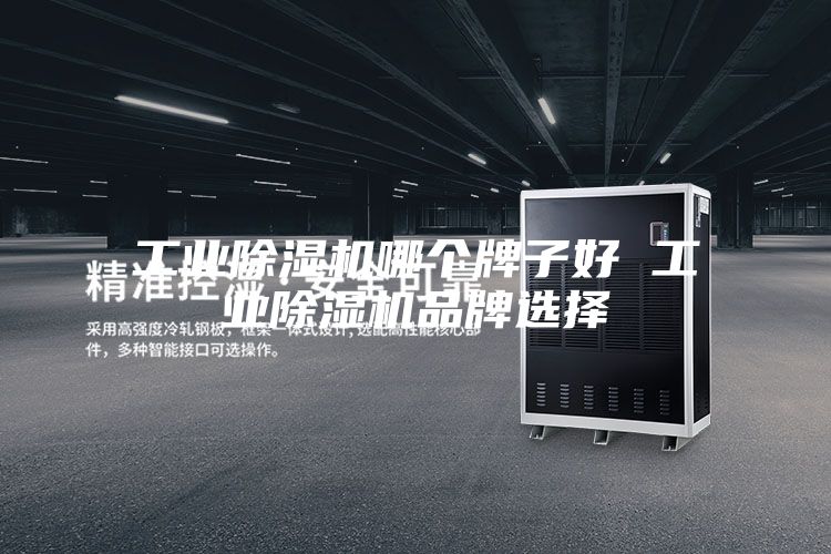 工业除湿机哪个牌子好 工业除湿机品牌选择