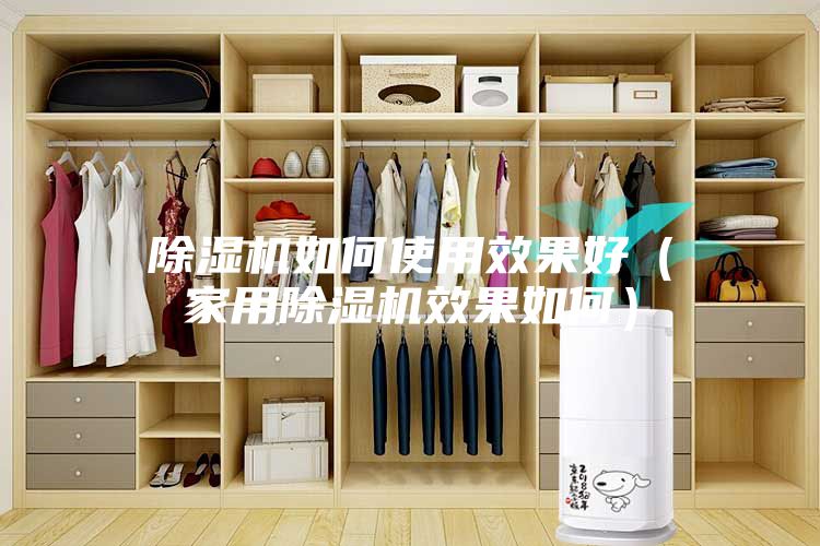 除湿机如何使用效果好（家用除湿机效果如何）