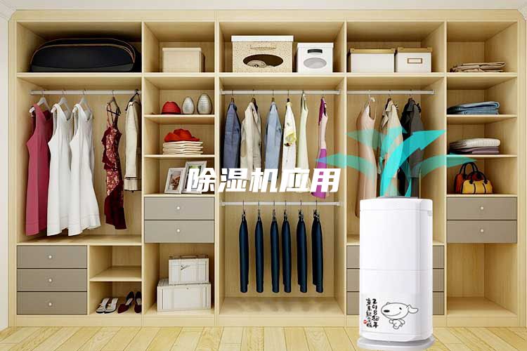 除湿机应用