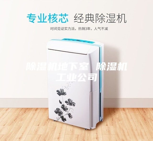 除湿机地下室 除湿机工业公司