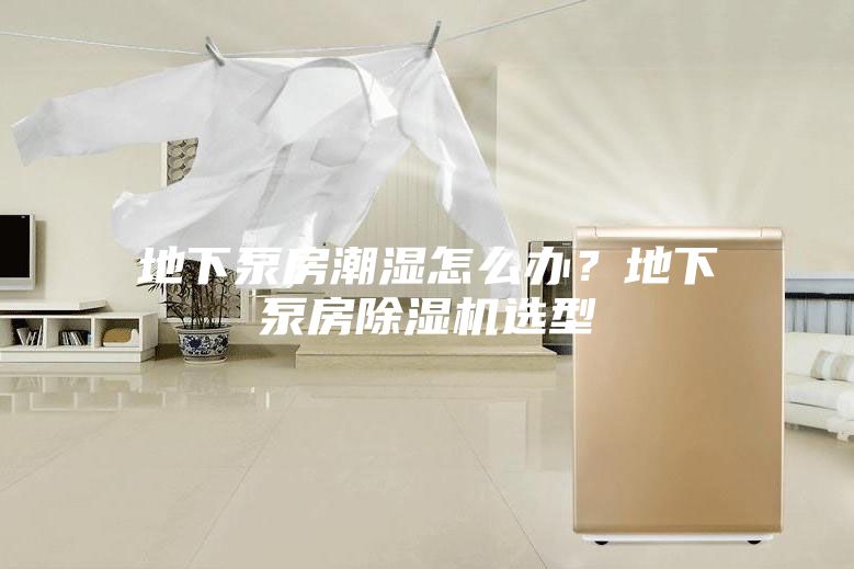 地下泵房潮湿怎么办？地下泵房除湿机选型