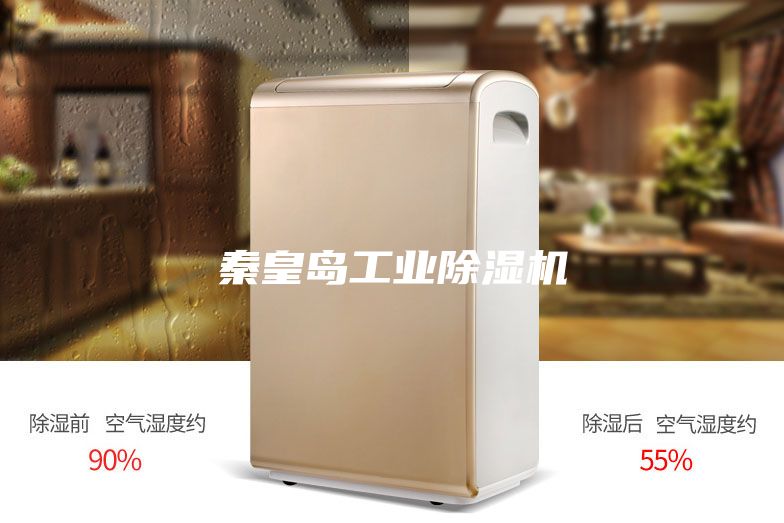 秦皇岛工业除湿机