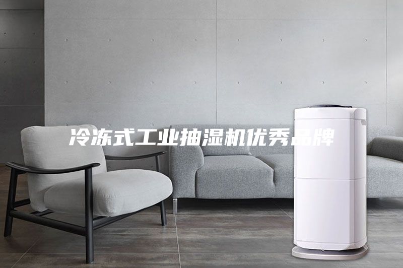 冷冻式工业抽湿机优秀品牌