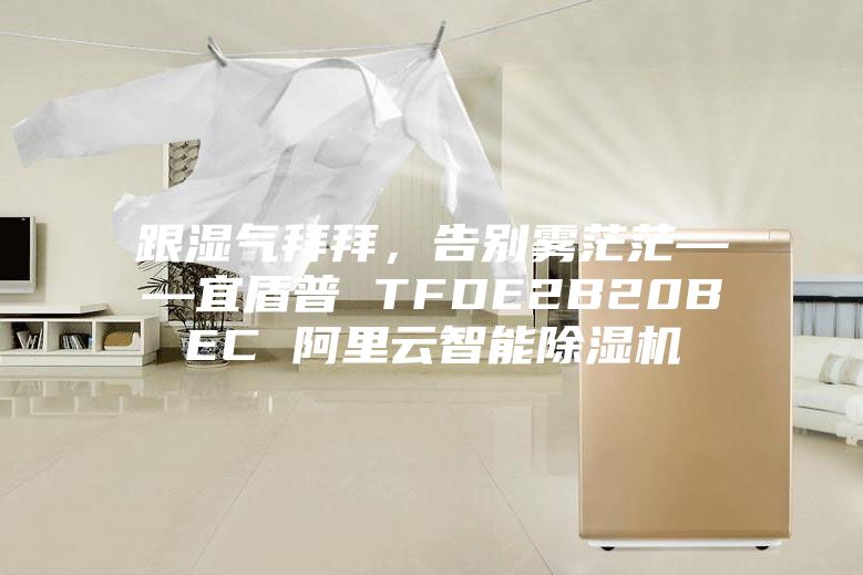 跟湿气拜拜，告别雾茫茫——宜盾普 TFDE2B20BEC 阿里云智能除湿机