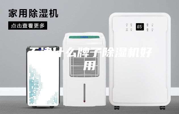 天津什么牌子除湿机好用