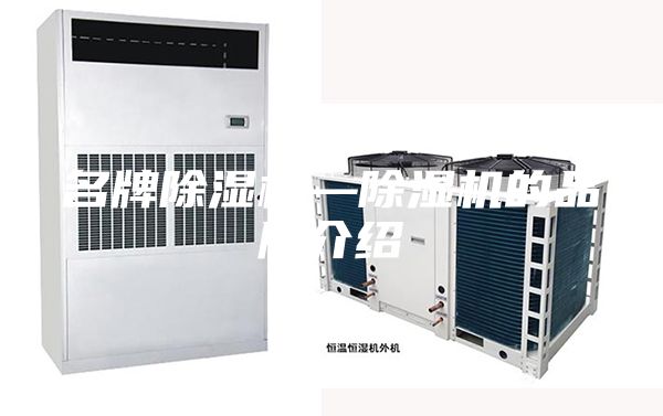 名牌除湿机—除湿机的品牌介绍