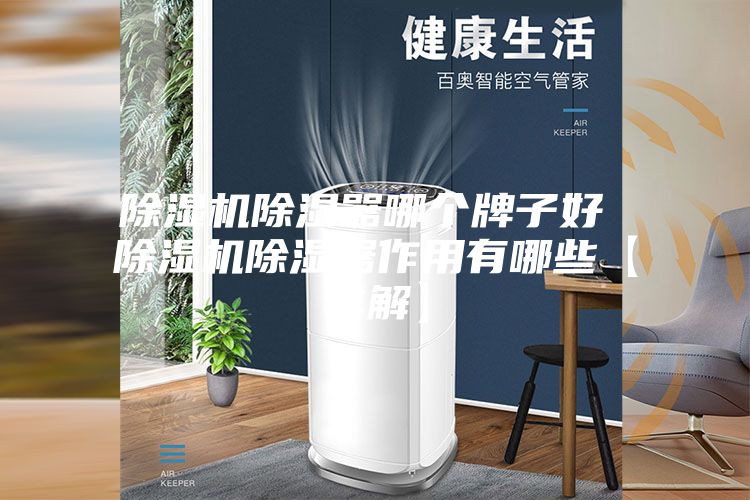 除湿机除湿器哪个牌子好 除湿机除湿器作用有哪些【详解】