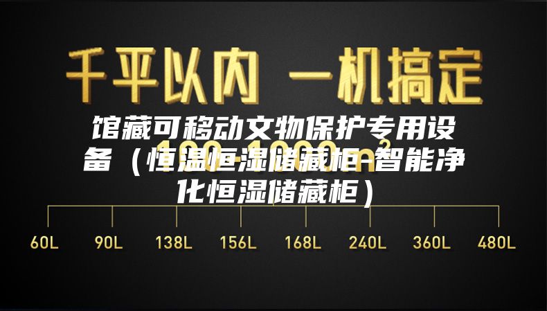 馆藏可移动文物保护专用设备（恒温恒湿储藏柜-智能净化恒湿储藏柜）