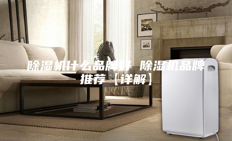 除湿机什么品牌好 除湿机品牌推荐【详解】