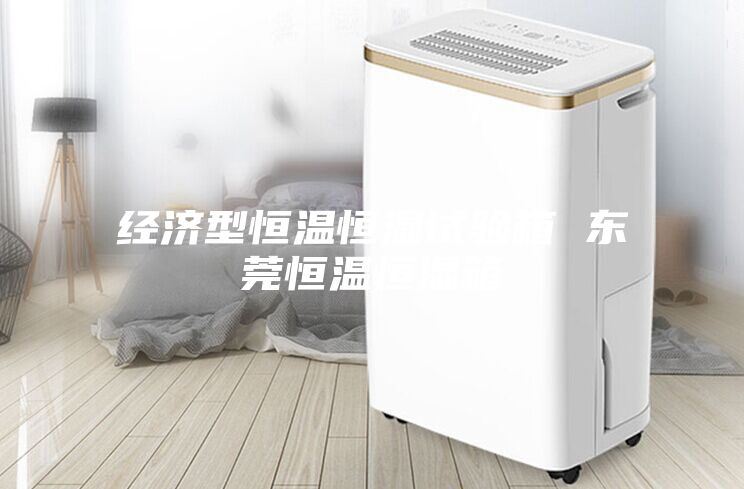 经济型恒温恒湿试验箱 东莞恒温恒湿箱