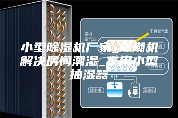小型除湿机厂家_除潮机解决房间潮湿_家用小型抽湿器