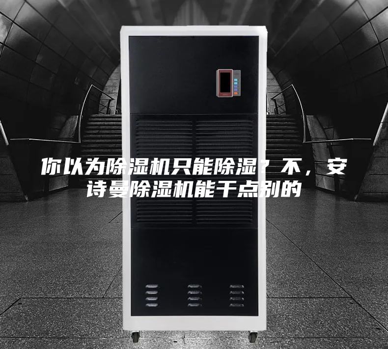 你以为除湿机只能除湿？不，安诗曼除湿机能干点别的