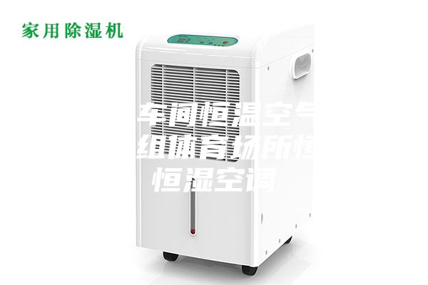 无尘车间恒温空气处理机组体育场所恒温恒湿空调