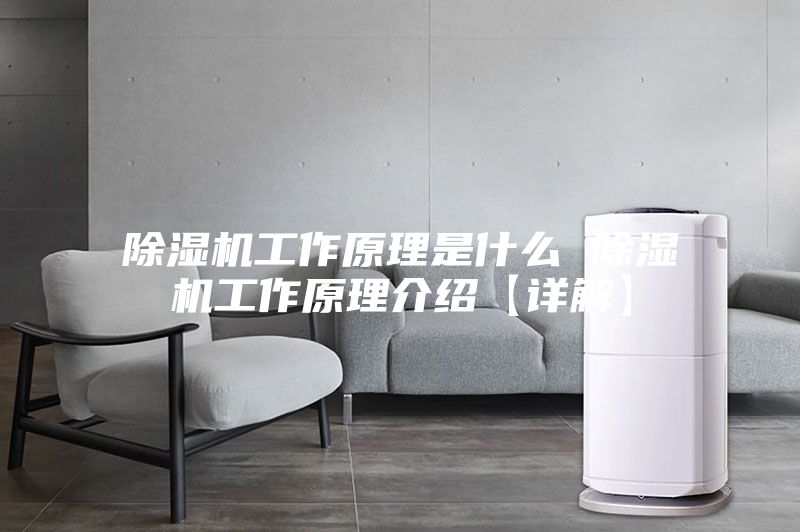 除湿机工作原理是什么 除湿机工作原理介绍【详解】