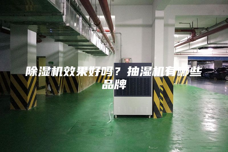 除湿机效果好吗？抽湿机有哪些品牌