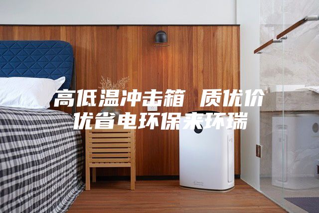 高低温冲击箱 质优价优省电环保来环瑞