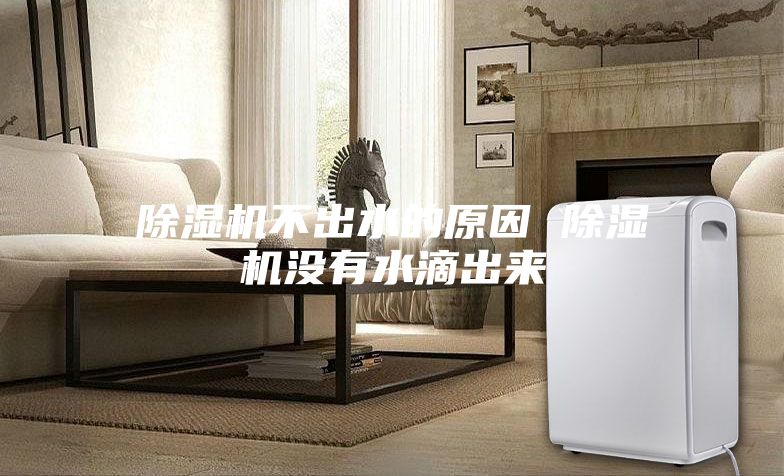 除湿机不出水的原因 除湿机没有水滴出来
