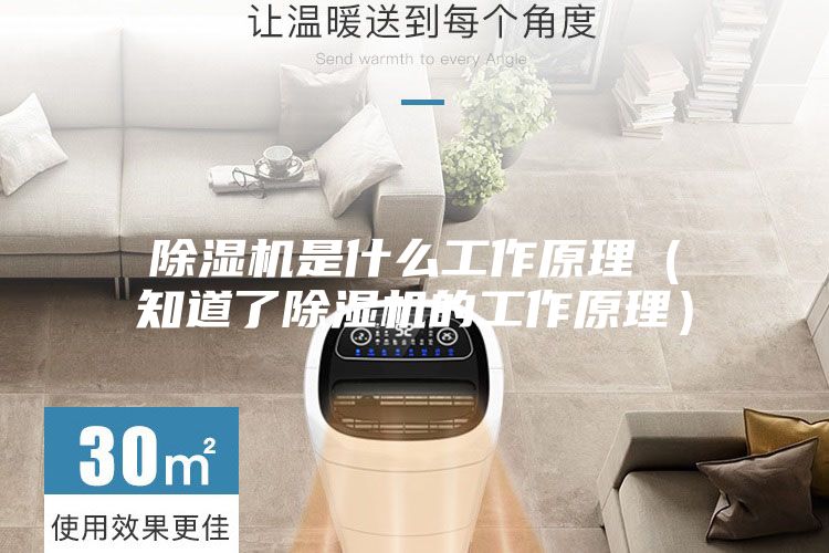 除湿机是什么工作原理（知道了除湿机的工作原理）