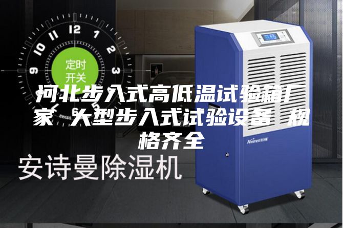 河北步入式高低温试验箱厂家 大型步入式试验设备 规格齐全