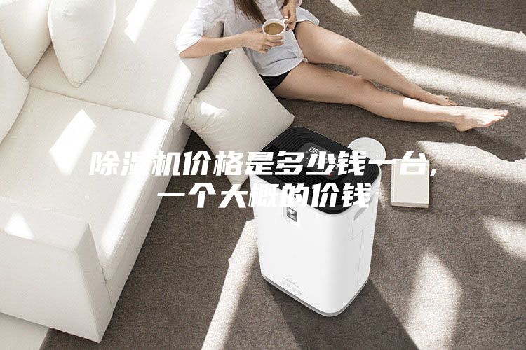 除湿机价格是多少钱一台,一个大概的价钱