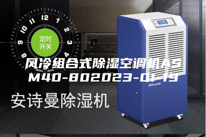 风冷组合式除湿空调机ASM40-802023-01-19