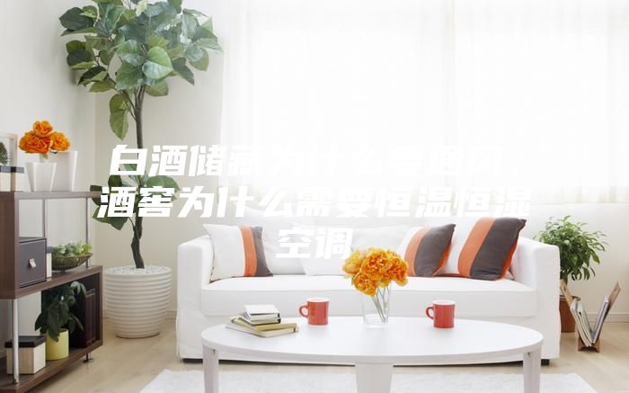 白酒储藏为什么要通风，酒窖为什么需要恒温恒湿空调