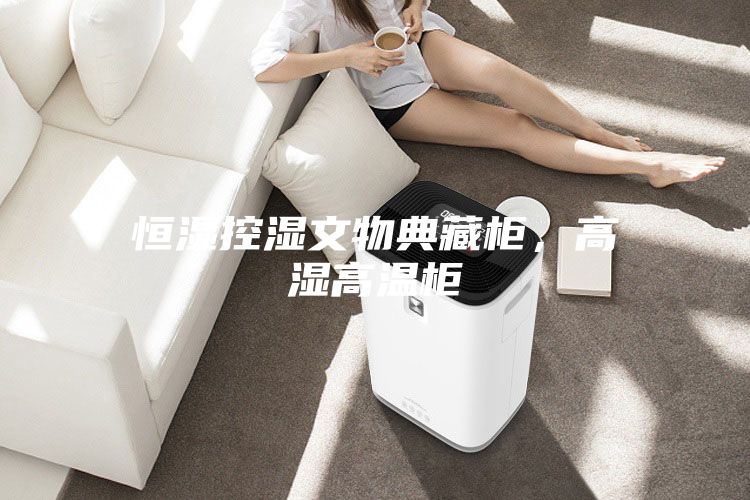 恒湿控湿文物典藏柜，高湿高温柜