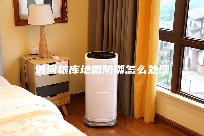 请问粮库地面防潮怎么处理