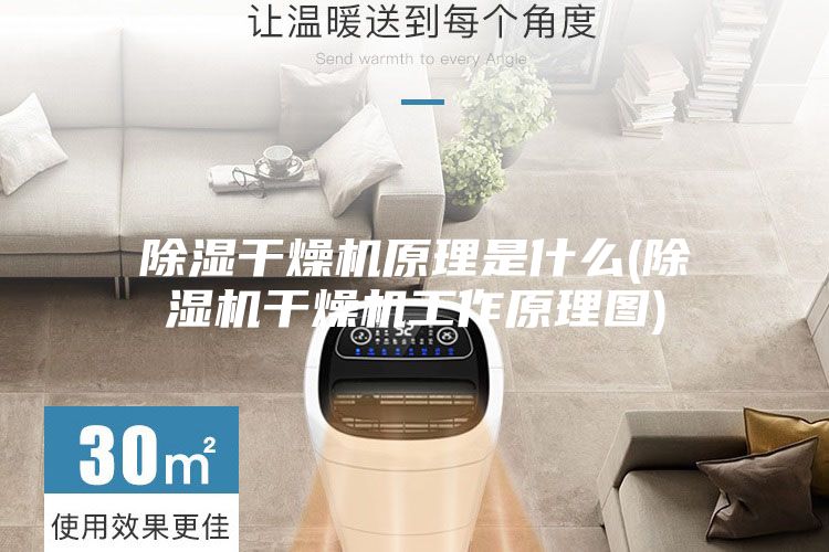 除湿干燥机原理是什么(除湿机干燥机工作原理图)