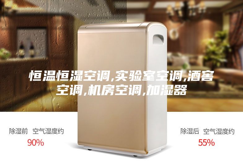 恒温恒湿空调,实验室空调,酒窖空调,机房空调,加湿器