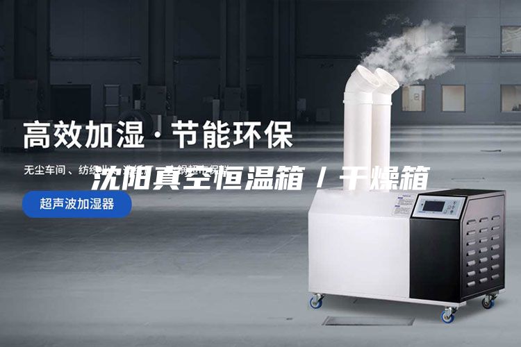 沈阳真空恒温箱／干燥箱