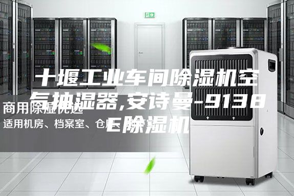 十堰工业车间除湿机空气抽湿器,安诗曼-9138E除湿机