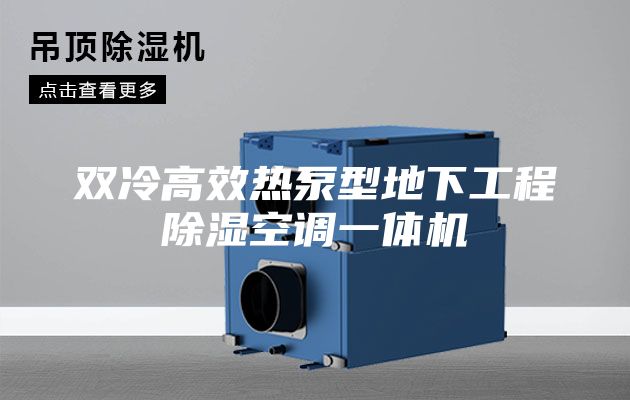双冷高效热泵型地下工程除湿空调一体机
