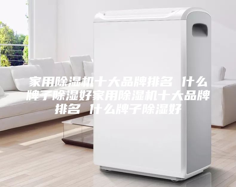 家用除湿机十大品牌排名 什么牌子除湿好家用除湿机十大品牌排名 什么牌子除湿好