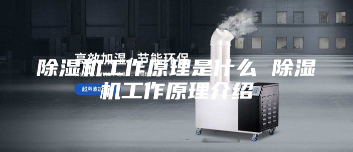 除湿机工作原理是什么 除湿机工作原理介绍