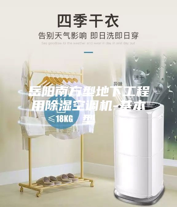 岳阳南方型地下工程用除湿空调机-基本型
