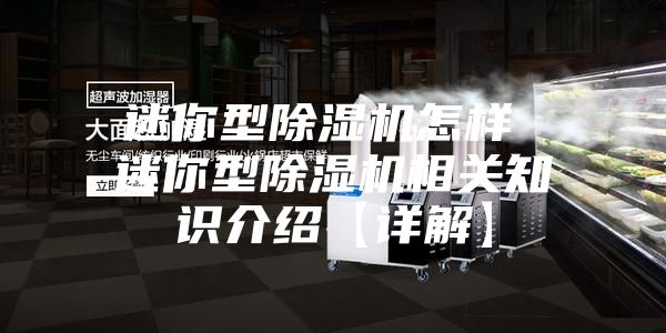 迷你型除湿机怎样 迷你型除湿机相关知识介绍【详解】