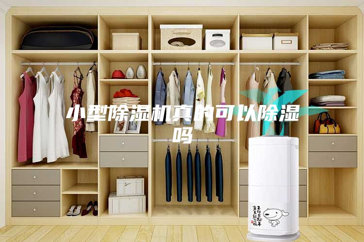 小型除湿机真的可以除湿吗