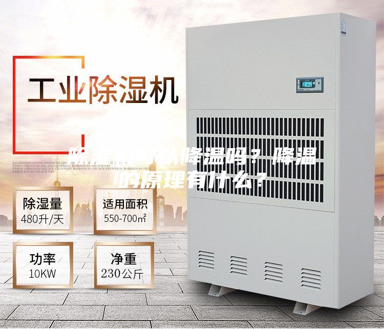 除湿机可以降温吗？降温的原理有什么？