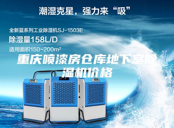 重庆喷漆房仓库地下室除湿机价格