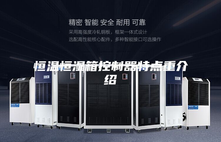 恒温恒湿箱控制器特点重介绍