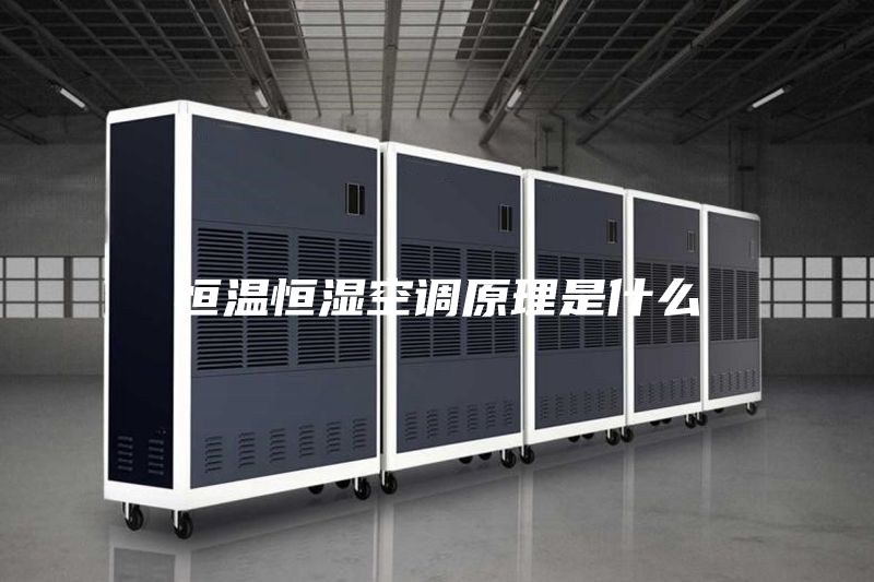恒温恒湿空调原理是什么