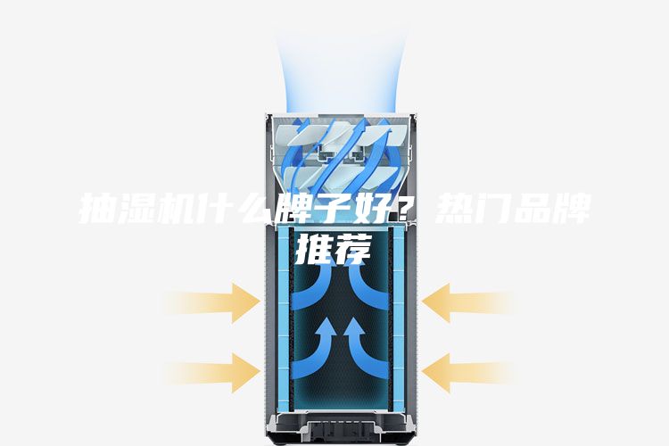 抽湿机什么牌子好？热门品牌推荐