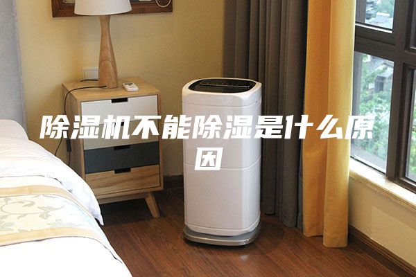 除湿机不能除湿是什么原因