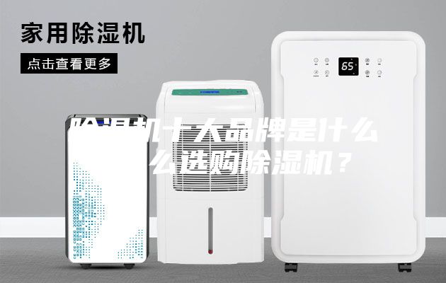 除湿机十大品牌是什么 怎么选购除湿机？