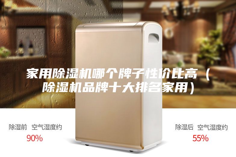 家用除湿机哪个牌子性价比高（除湿机品牌十大排名家用）