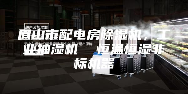 眉山市配电房除湿机，工业抽湿机  恒温恒湿非标机器
