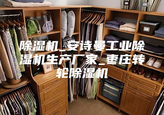 除湿机_安诗曼工业除湿机生产厂家_枣庄转轮除湿机