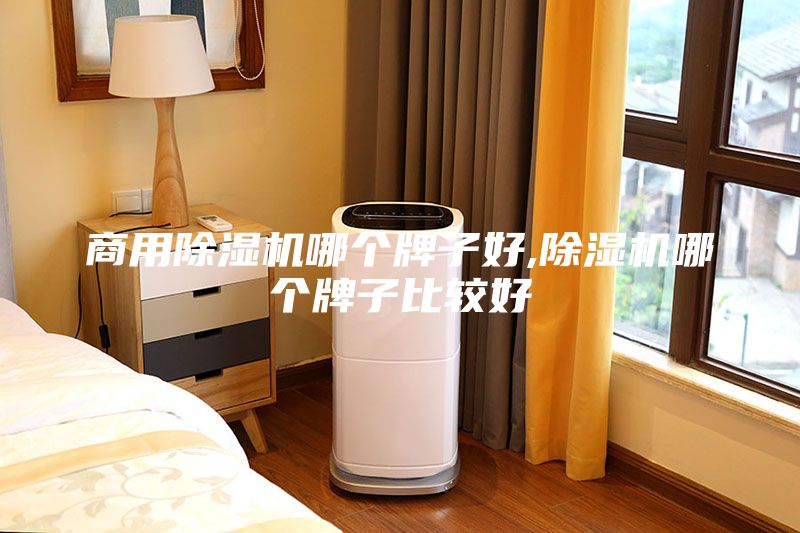 商用除湿机哪个牌子好,除湿机哪个牌子比较好