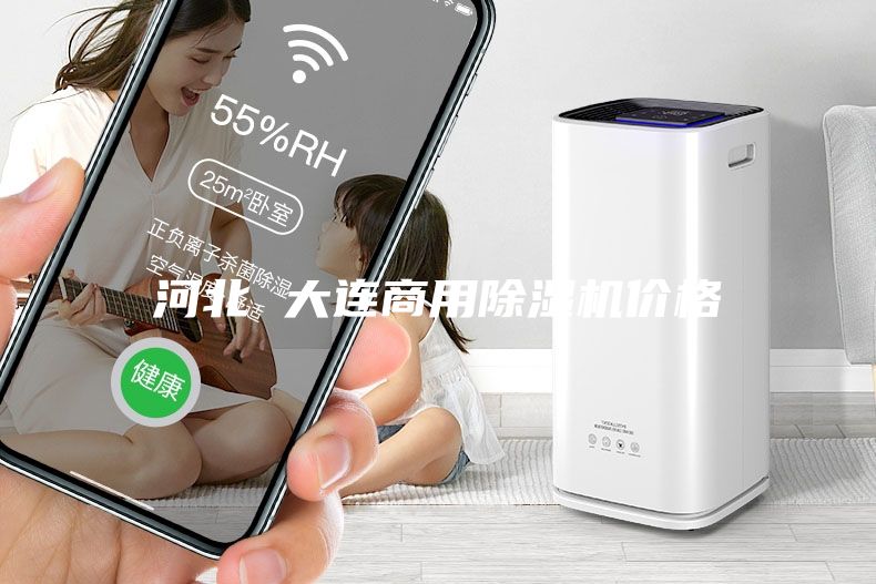 河北 大连商用除湿机价格